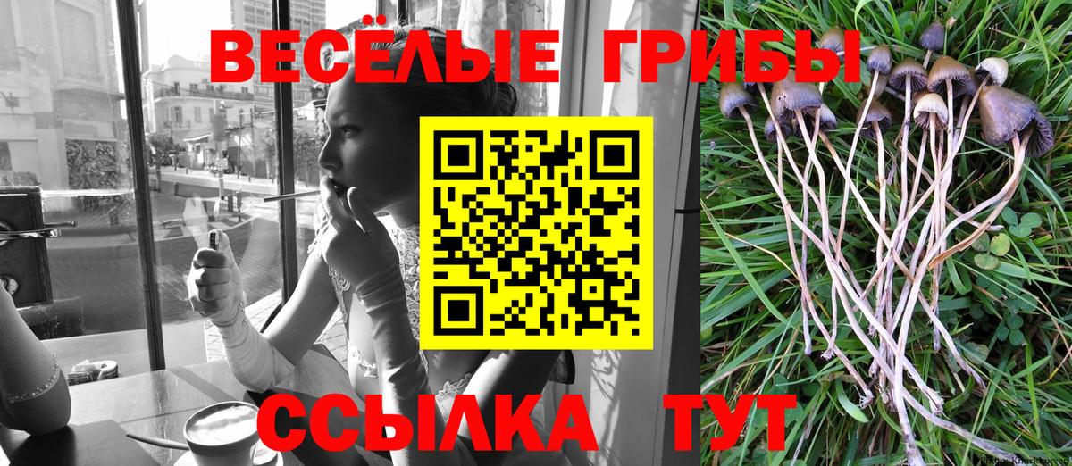 Галлюциногенные грибы прущие грибы Невинномысск