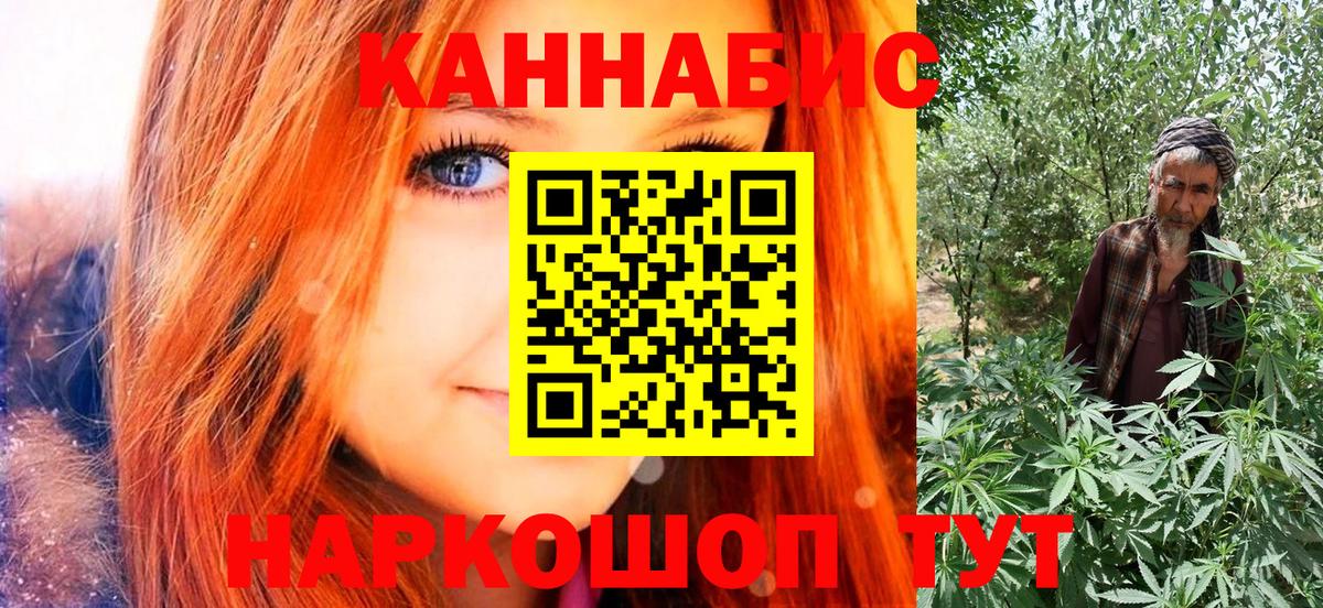 Каннабис сатива Невинномысск